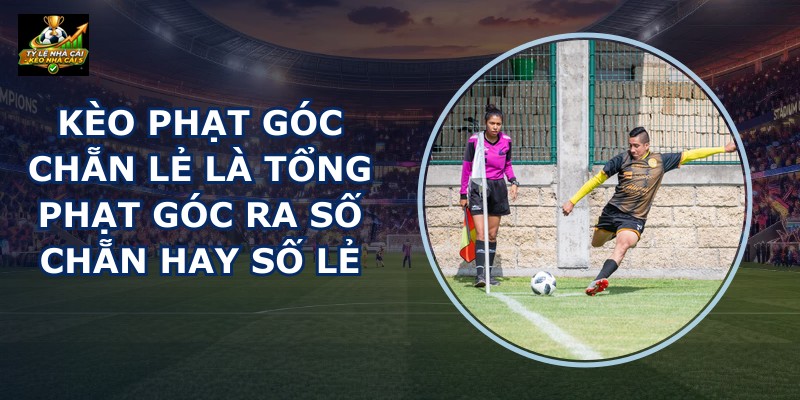 Kèo Phạt Góc Chẵn Lẻ