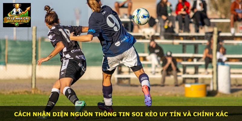 Cách nhận diện nguồn thông tin soi kèo uy tín và chính xác